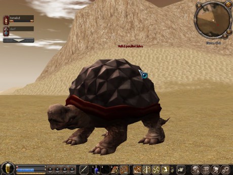 velká pouštní želva (bos)